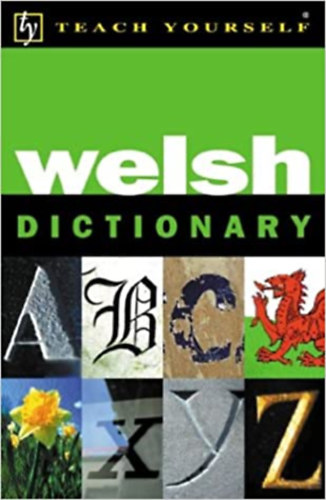 Edwin E. Lewis - Teach Yourself Welsh Dictionary