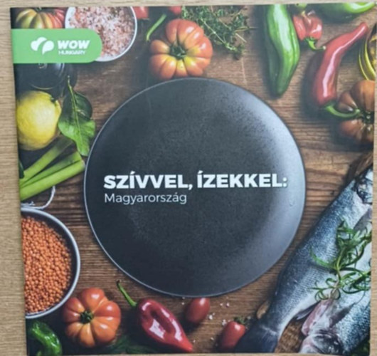 Brightly Kft. - Szvvel, zekkel: Magyarorszg