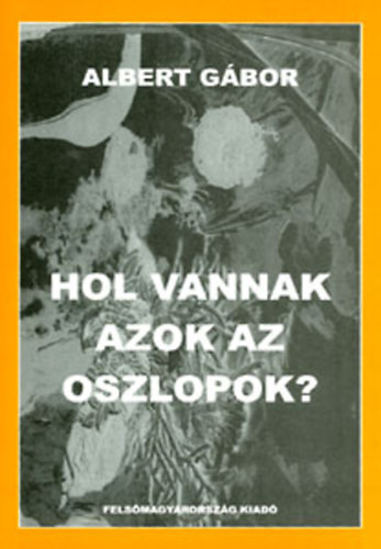 Albert Gbor - Hol vannak azok az oszlopok?