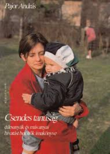 Pajor András - Csendes tanúság