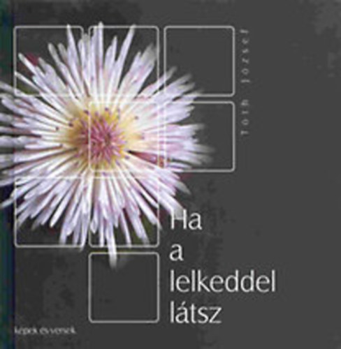 Tóth József - Ha a lelkeddel látsz