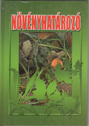 Nvnyhatroz