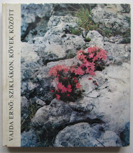 Vajda Ernő - Sziklákon, kövek között
