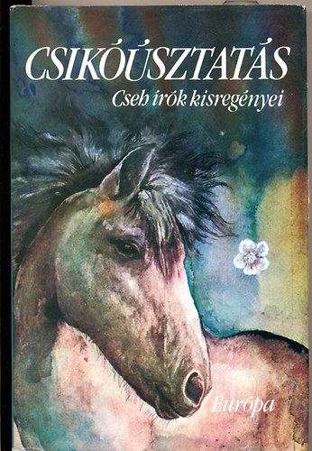 K�vesdi J�nos - Csik��sztat�s (cseh �r�k kisreg�nyei)