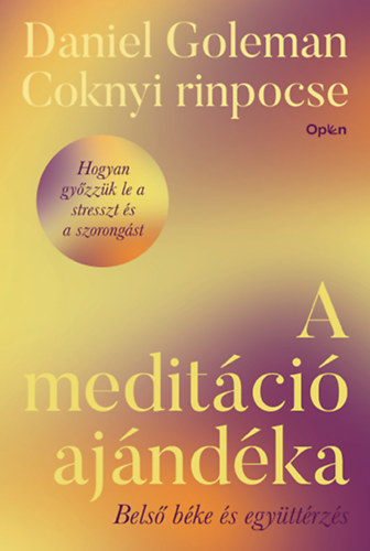 Coknyi rinpocse Daniel Goleman - A meditci ajndka