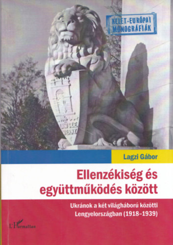 Lagzi Gbor - Ellenzkisg s egyttmkds kztt