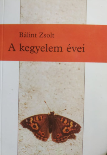 Blint Zsolt - A kegyelem vei