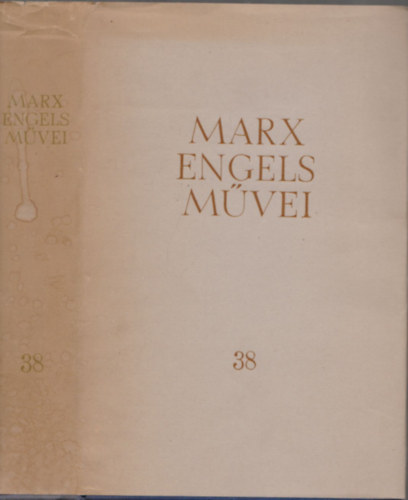 Karl Marx - Friedrich Engels - Karl Marx s Friedrich Engels mvei 38. ktet - Levelek 1891-1892