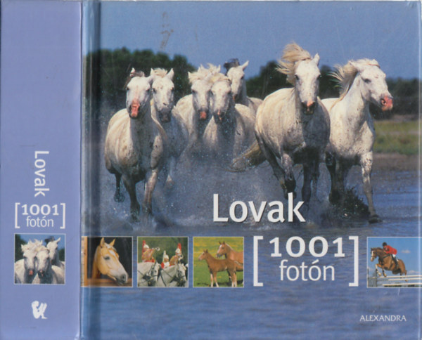 Rudel. Murielle  (szerk.) - Lovak- 1001 fotn