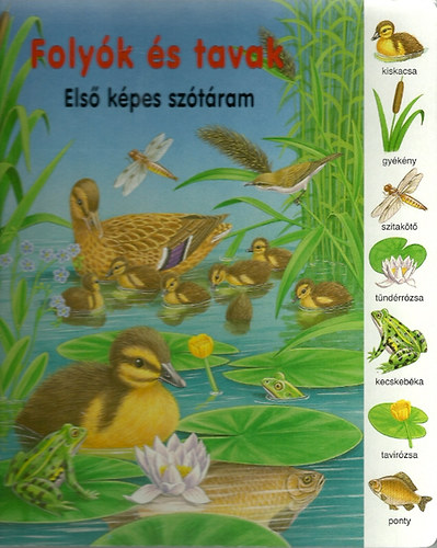 Folyók és tavak - Első képes szótáram