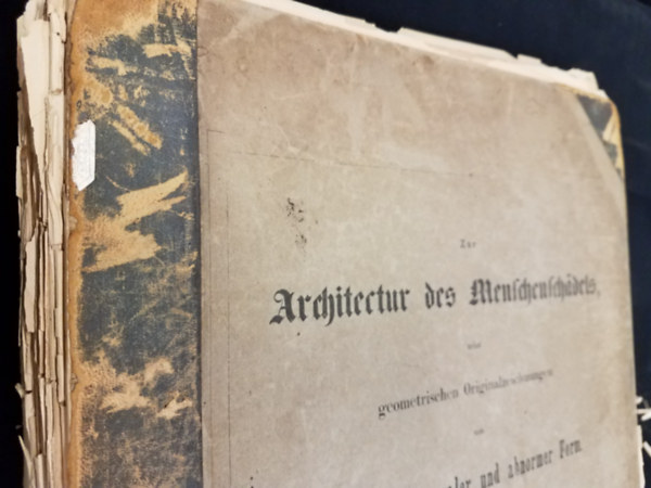 Johann Christian Gustav Lucae - Zur Architctur  des Menschenschadels Geometrischen Originalzeichunungen - Az emberi koponya felptse