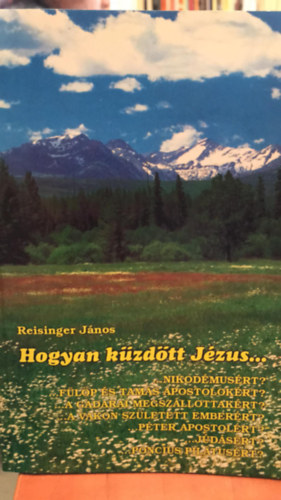 Reisinger Jnos - Hogyan kzdtt Jzus?