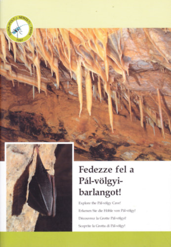 Fedezze fel a Pál-völgyi-barlangot!