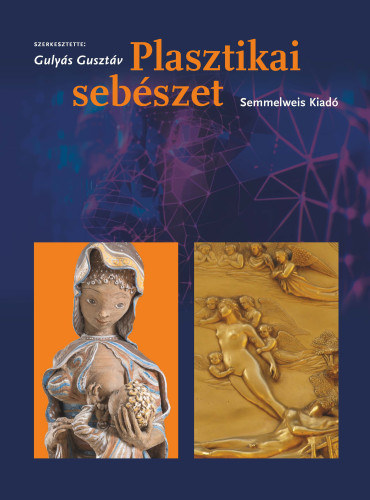 Prof. Dr. Gulys Gusztv - Plasztikai sebszet