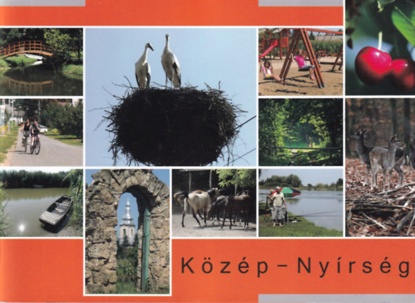 K�z�p-Ny�rs�g
