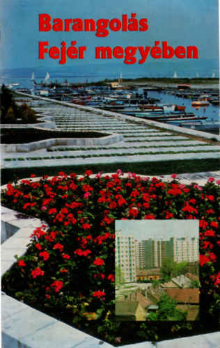 Barangol�s Fej�r megy�ben