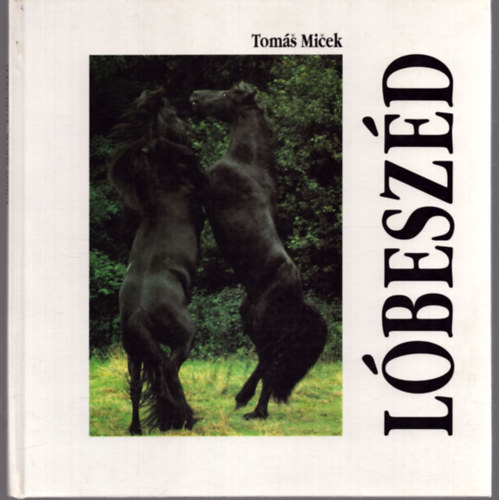 Toms Micek - Lbeszd