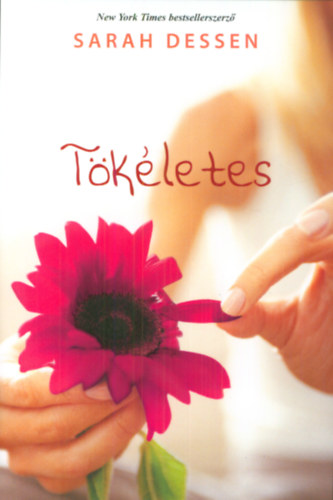 Sarah Dessen - Tkletes