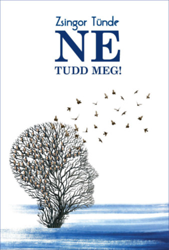 Zsingor Tünde - Ne tudd meg!