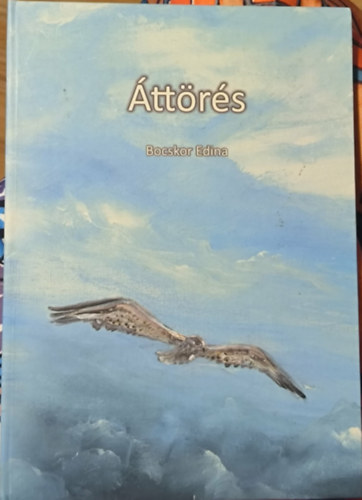 Bocskor Edina - Áttörés
