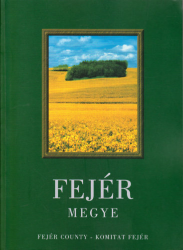 Dr. F�l�p Gyula - Fej�r megye (magyar-angol-n�met)