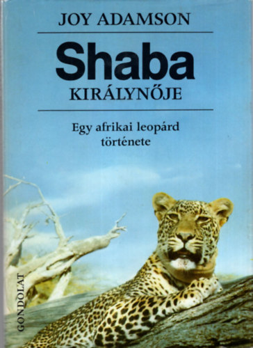 Szerző Joy Adamson Szerkesztő B. Neu Piroska Fordító Detre Zsuzsa Lektor Walkóné Békés Ágnes Stohl Gábor - Shaba királynője Egy afrikai leopárd története - A könyvet fekete-fehér és színes fotók illusztrálják.