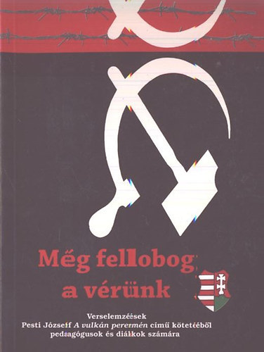 Dr. Salga Attila  (szerk.) - Mg fellobog a vrnk - Elemzsek Pesti Jzsef A vulkn peremn cm ktetnek verseibl pedaggusok s dikok szmra