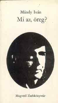 M�ndy Iv�n - Mi az, �reg?