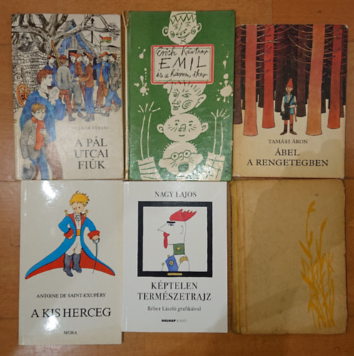 Nagy Lajos, Fekete Istvn, Molnr Ferenc, Erich Kstner, Tamsi ron Antoine de Saint-Exupry - 6 fontos ifjsgi regny:A kis herceg, Kptelen termszetrajz, Tskevr, A Pl utca fik, Emil s a hrom iker, bel a rengetegben