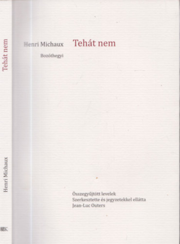 Jean-Luc Outers Henri Michaux - Teht nem - sszegyjttt levelek