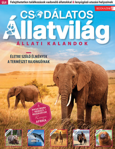 Bookazine csomag: F�les Bookazine
