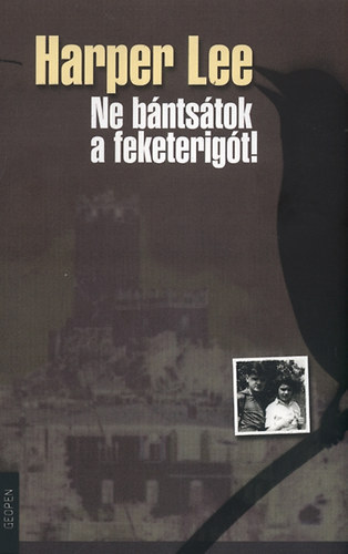 Harper Lee - Ne bántsátok a feketerigót!