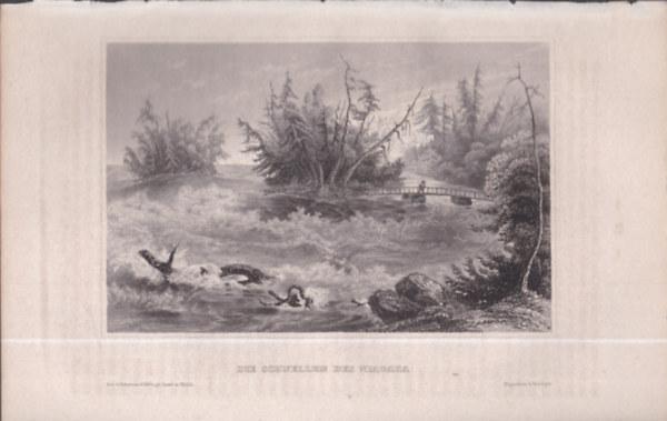 Die Schnellen des Niagara (A Niagara zuhatagja, Egyeslt llamok) (16x23,5 cm mret eredeti aclmetszet, 1856-bl)