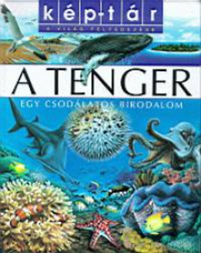 Sabine Schuck - A tenger