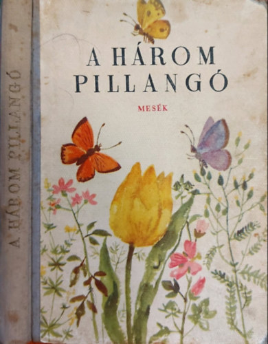 Reich Kroly  Rz Vera (rajzolta) - A hrom pillang