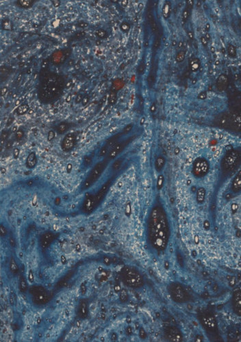 Mark Twain Edward Bellamy - A csodadoktor + Az ellopott fehér elefánt (2 mű egy kötetben)