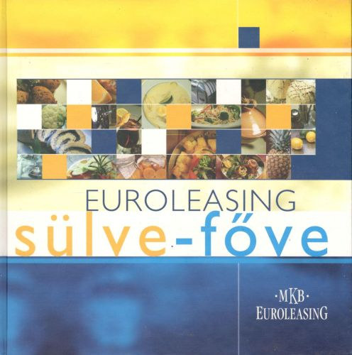 Euroleasing slve-fve