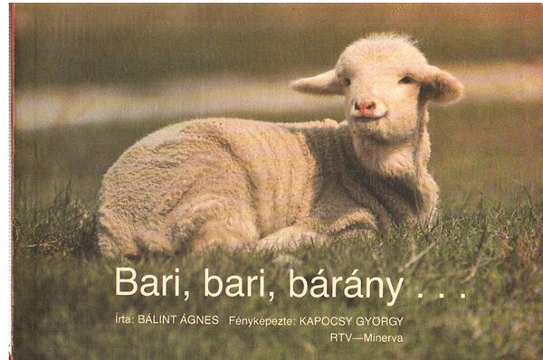 B�lint �gnes - Bari, bari, b�r�ny...