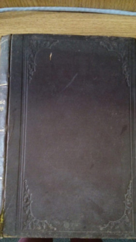 Gelich Rich�rd - Magyarorsz�g f�ggetlens�gi harcza 1848-49-ben (II.k�tet)