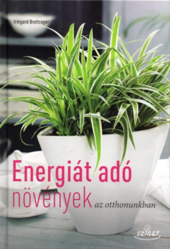 Irmgard Brottrager - Energit ad nvnyek az otthonunkban