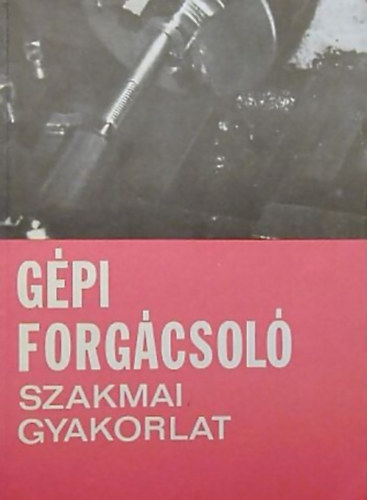 Dudás István - GÉPI FORGÁCSOLÓ SZAKMAI GYAKORLAT
