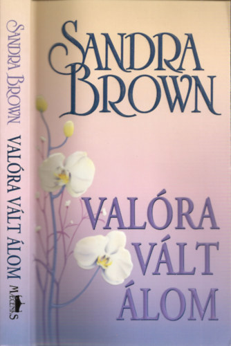 Fordította: Komáromy Zsófia Sandra Brown - Valóra vált álom (Mason testvérek 1.) - Fanta C