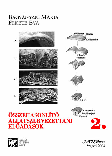 Fekete va; Bagynszki Mria - sszehasonlt llatszervezettani eladsok 2.