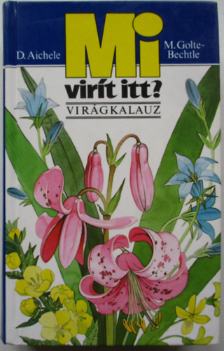 D. Aichele; M. Golte Bechtle - Mi virt itt? (virgkalauz)