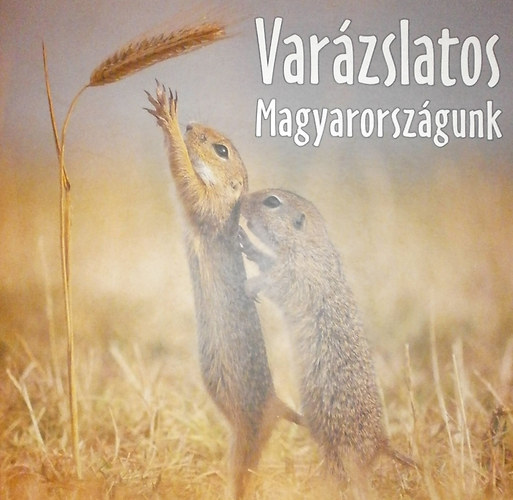 Gal Pter  (szerk.) - Varzslatos Magyarorszgunk