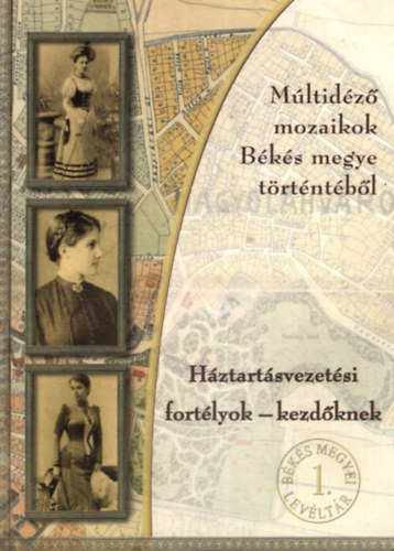 Héjja Julianna Erika - Háztartásvezetési fortélyok- kezdőknek ( Múltidéző mozaikok Békés megye történetéből )