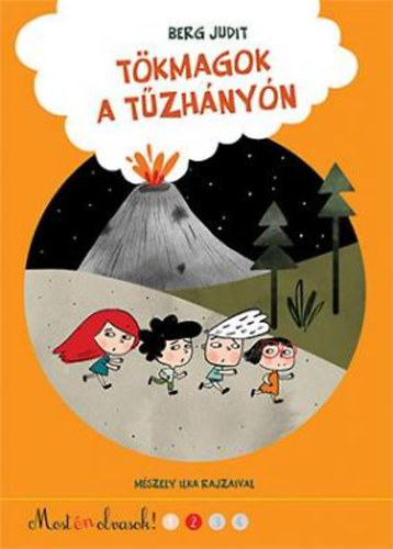 Berg Judit - Tkmagok a tzhnyn
