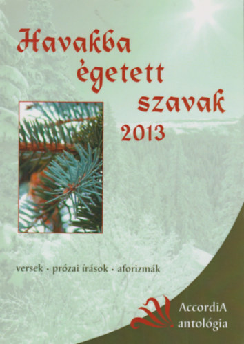 Havakba getett szavak 2013