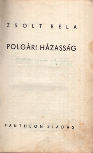 Zsolt Bla - Polgri hzassg