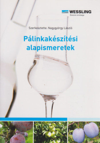Nagygyrgy Lszl - Plinkaksztsi alapismeretek